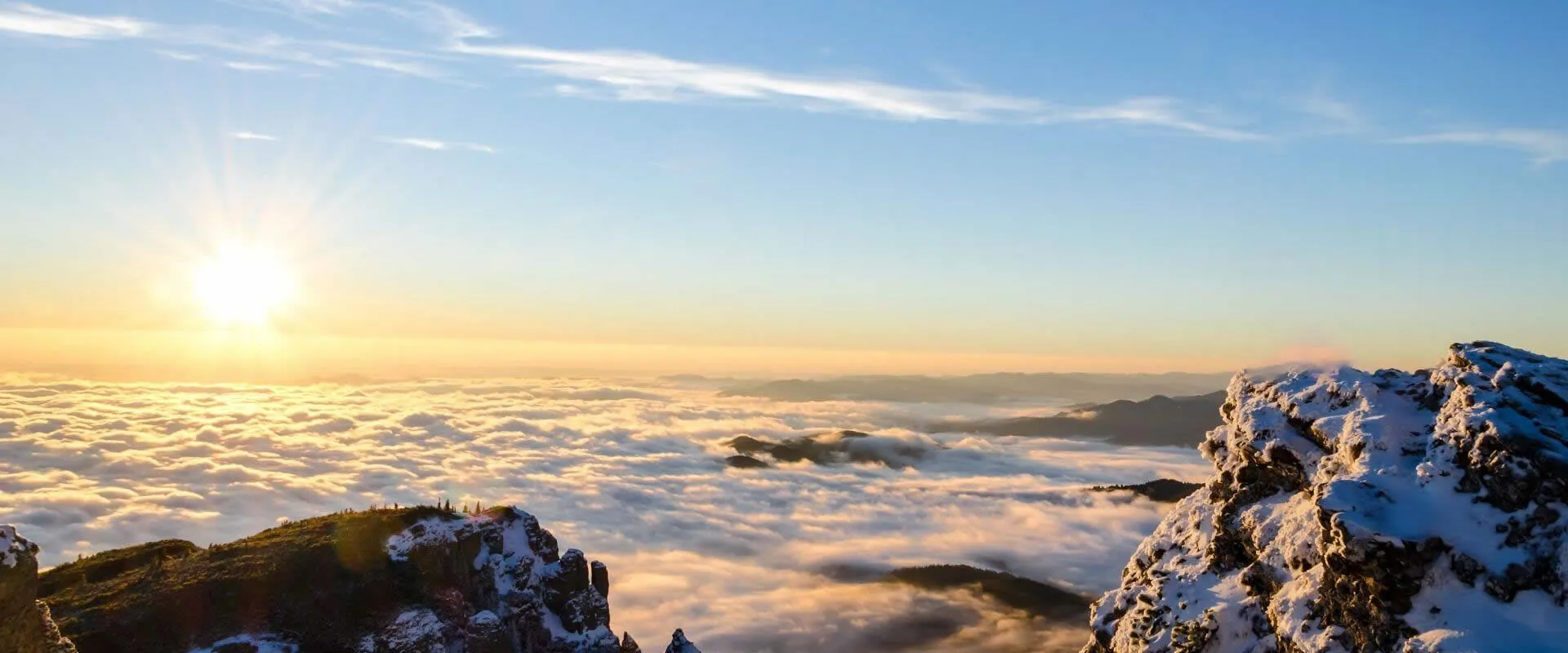 Unmatched excellence and client-focused service 