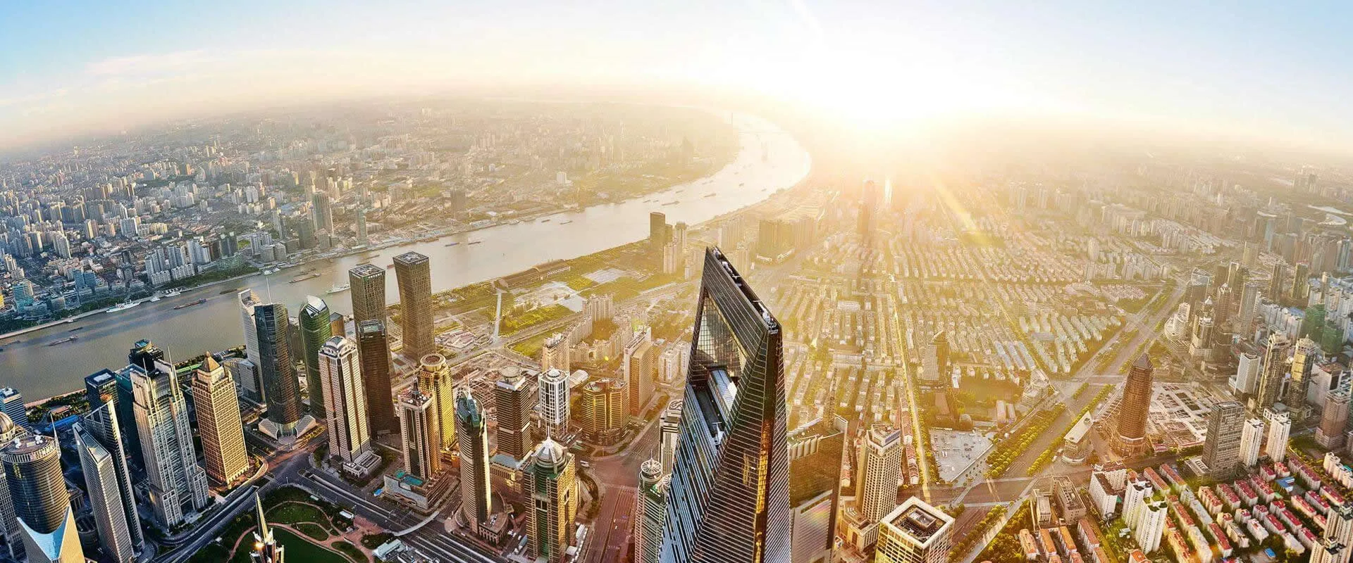 Unmatched excellence and client-focused service 