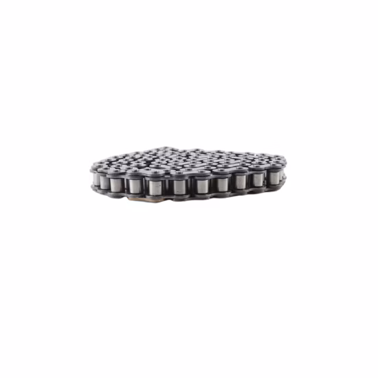 a Series Roller Chain (simplex)