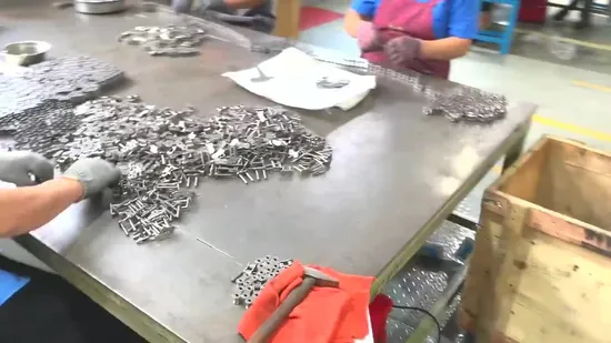 High Precision Industrial a Series Simplex Duplex Triplex Driving Roller Chain 