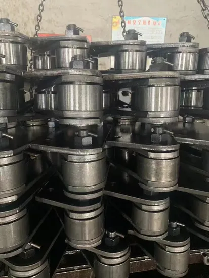 Stainless Steel Farm Conveyor Chains with High Wear Resistance 