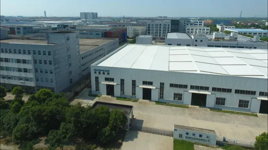 GS Marine Pinion Drive Ring Worm Spur Crown Wheel and Pinion Helical Gearbox Gear (OD300) 